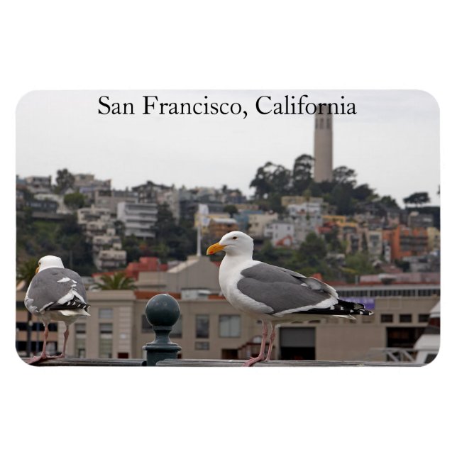 Magnet Flexi Premium Seagull de San Francisco (Horizontal)