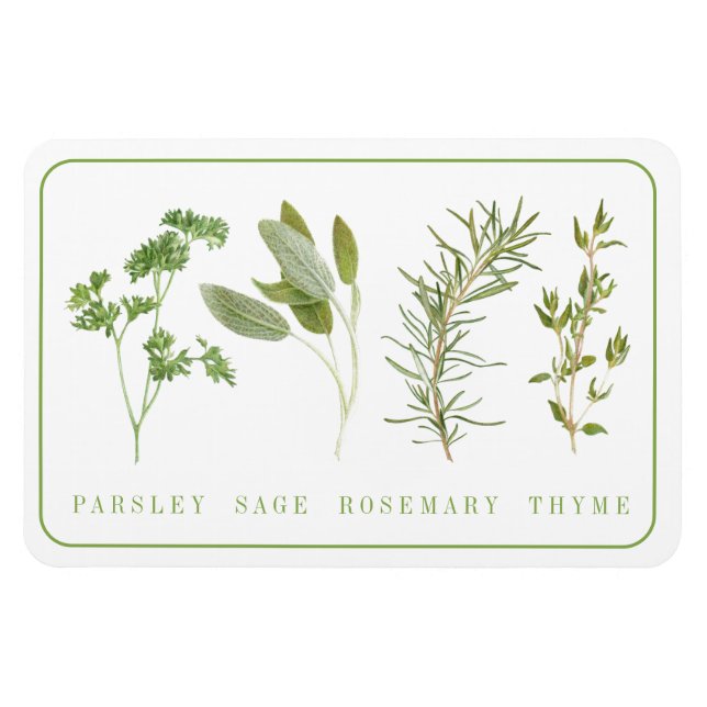 Magnet Flexible 4 HERBES FRAÎCHES 4x6 Aimant flexible (Horizontal)