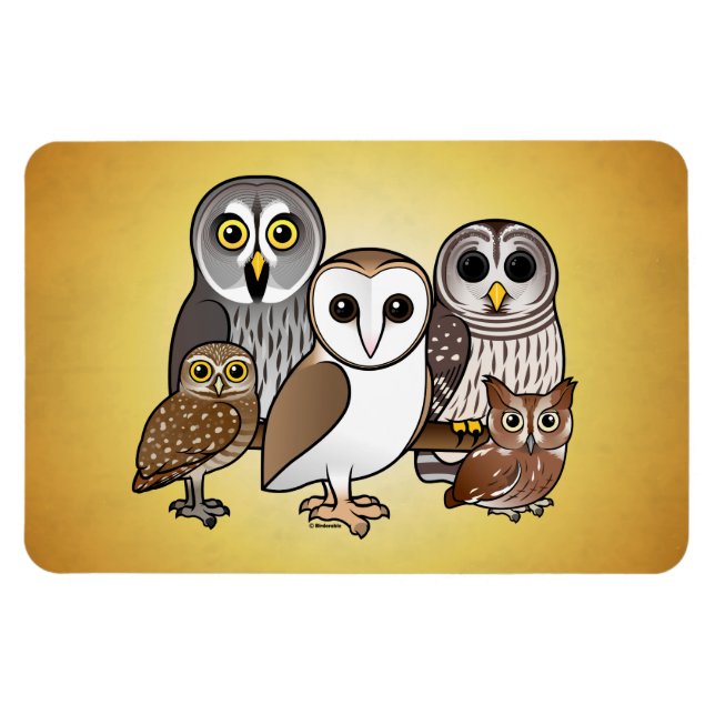 Magnet Flexible 5 Chouettes Birdables (Horizontal)