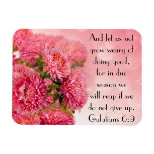 Magnet Flexible 6:9 de Galatians de vers de bible d'encouragement