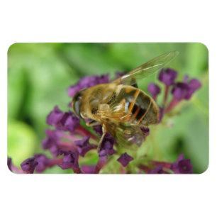 Magnet Flexible Abeille de miel et fleurs violettes Aimant Flexi