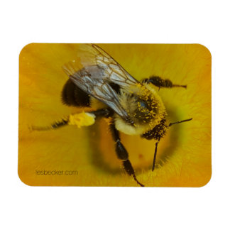 Magnet Flexible Abeille recouverte de pollen