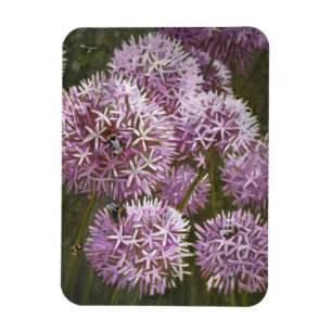 Magnet Flexible Abeilles 2014 d'été