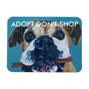 Magnet Flexible ADOPT NE FONT PAS DES EMPLETTES aimant de voiture