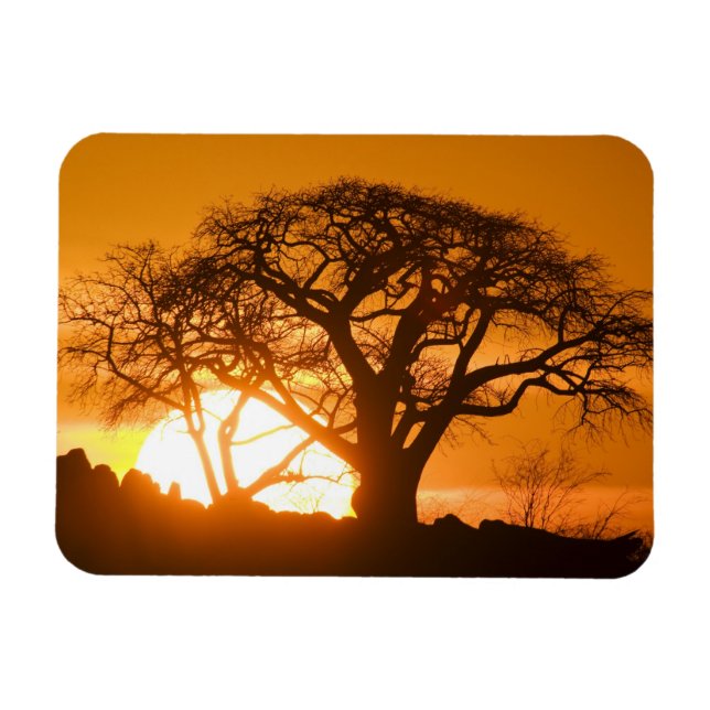 Magnet Flexible Afrique, Botswana, Mise en place de silhouettes de (Horizontal)