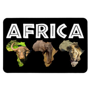 Magnet Flexible Afrique Faune Continent Trio