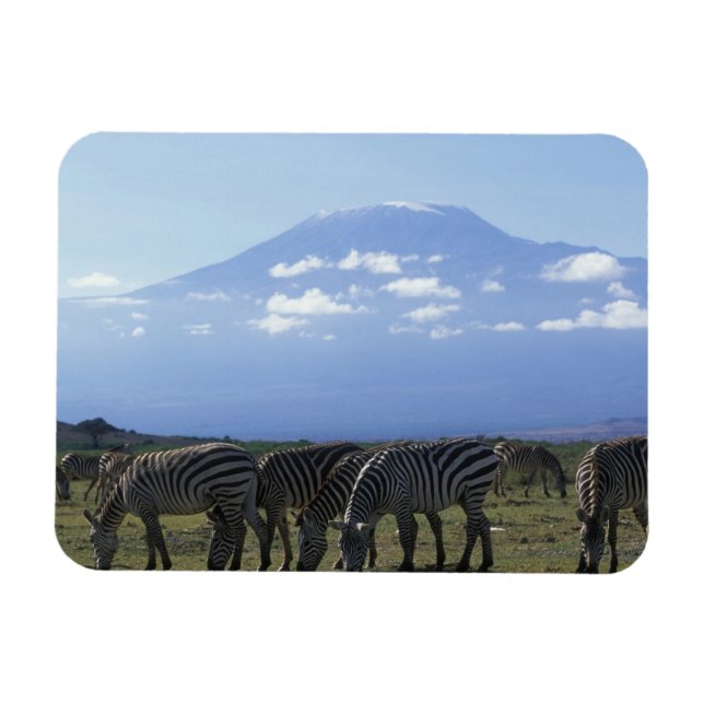 Magnet Flexible Afrique, Kenya, Parc national d'Amboseli, Troupeau (Horizontal)