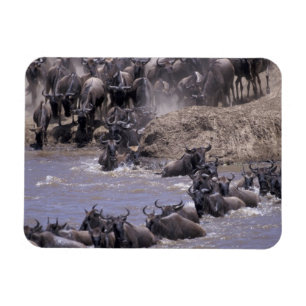 Magnet Flexible Afrique, Kenya, Parc national du Masaï Mara.