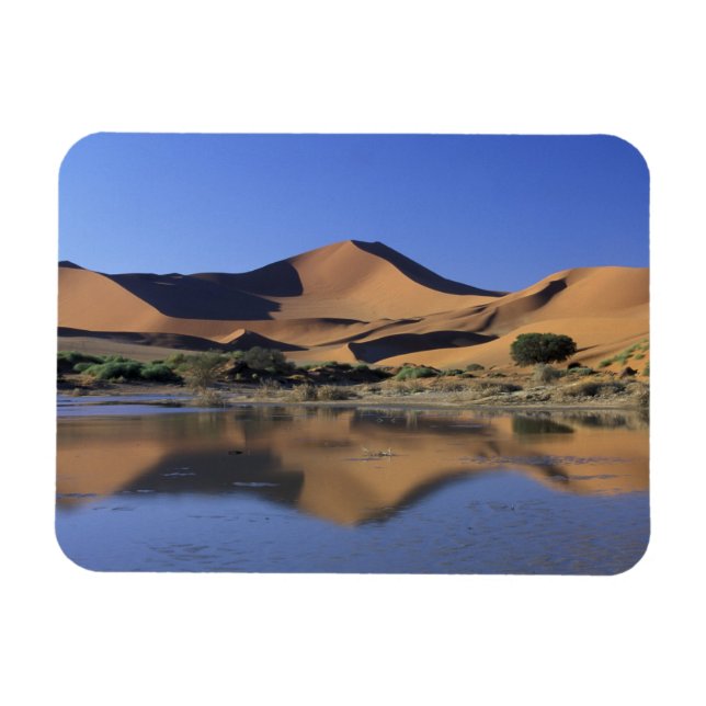 Magnet Flexible Afrique, Namibie, Parc national du Namib, Sossusvl (Horizontal)