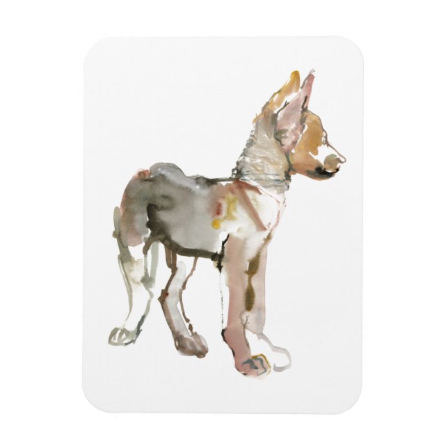 Magnet Flexible Agiter (Vertical)