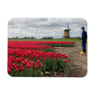Magnet Flexible Agriculteur inspectant ses tulipes et moulin à