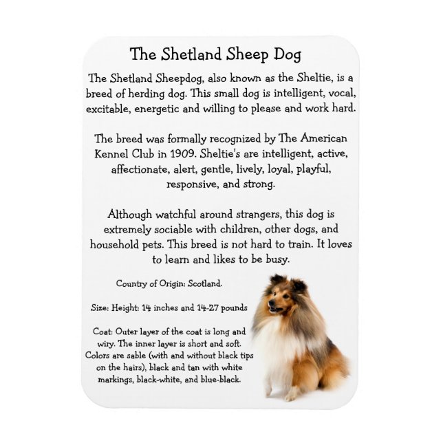 Magnet Flexible Aimant (Vertical)