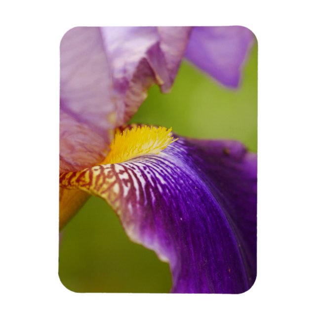 Magnet Flexible Aimant à fleur Iris (Vertical)
