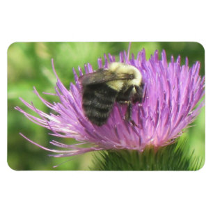 Magnet Flexible Aimant d'abeille et de chardon