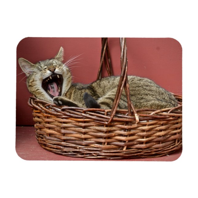 Magnet Flexible Aimant de chat (Horizontal)