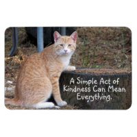 Aimant de chat de tabby orange