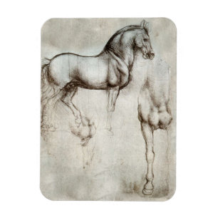 Magnet Flexible Aimant de cheval de da Vinci