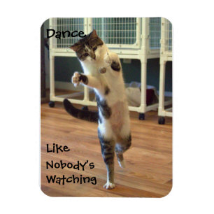 Magnet Flexible Aimant de danse de chat
