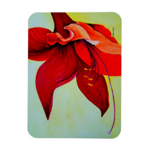 Magnet Flexible Aimant de fleur d'amaryllis