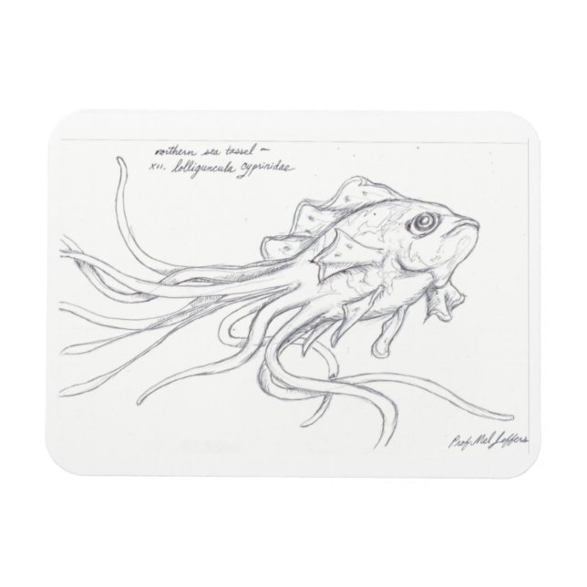 Magnet Flexible Aimant de mer Tassel (Horizontal)