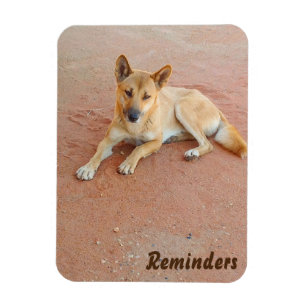 Magnet Flexible Aimant de photo de dingo