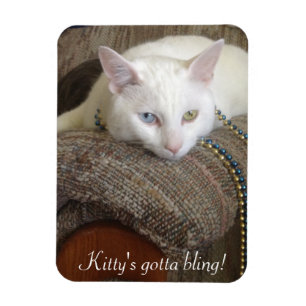Magnet Flexible Aimant de photo de Kitty Bling
