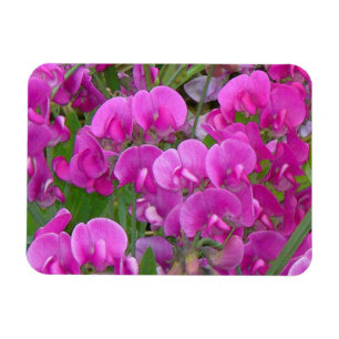 Magnet Flexible Aimant de prime de fleurs de pois doux