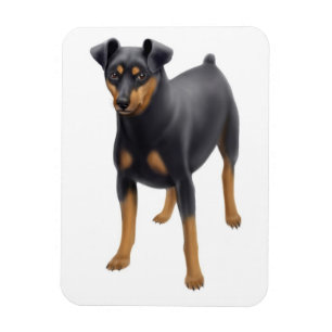 Magnet Flexible Aimant de prime de Pin de minute de Pinscher