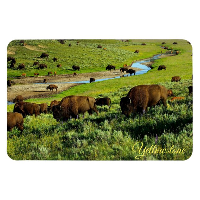 Magnet Flexible Aimant de Yellowstone (Horizontal)
