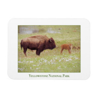 Magnet Flexible Aimant du parc national de Yellowstone avec bison 