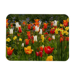 Magnet Flexible Aimant Fleurs de ressort