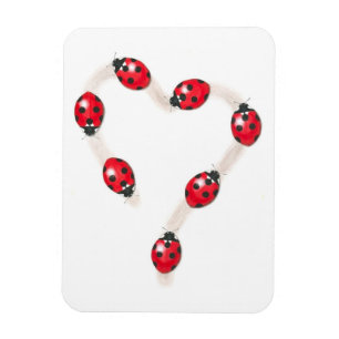 Magnet Flexible Aimant Flexi Coeur de Ladybug