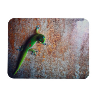 Magnet Flexible Aimant Flexi Gecko Vert