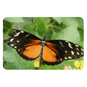 Magnet Flexible Aimant Flexi Papillon long tigre