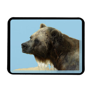 Magnet Flexible Aimant flexible amateur d'animaux sauvages Ours gr