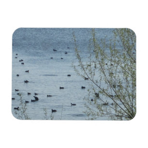 Magnet Flexible Aimant flexible aux oiseaux du lac