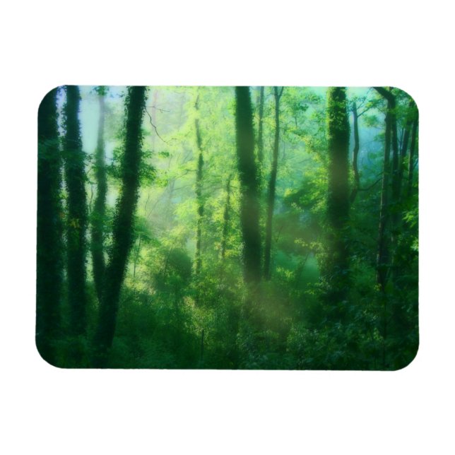 Magnet Flexible Aimant flexible de fertilité (Horizontal)