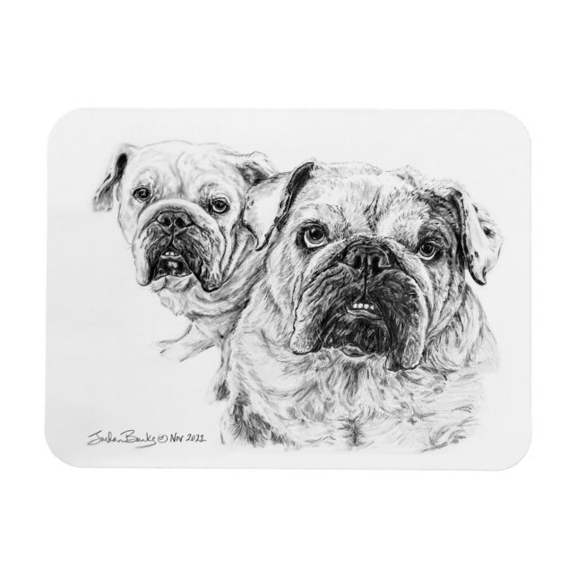 Magnet Flexible Aimant flexible des Divas chauves ! (Horizontal)