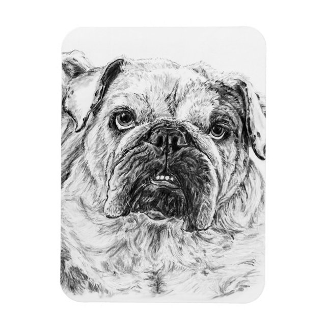 Magnet Flexible Aimant flexible DIVA Lilybug (Vertical)