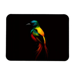 Magnet Flexible Aimant flexible Luxe Noir 4 Oiseau tropical arc-en