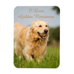 Magnet Flexible Aimant frigo avec Golden Retriever et Slogan