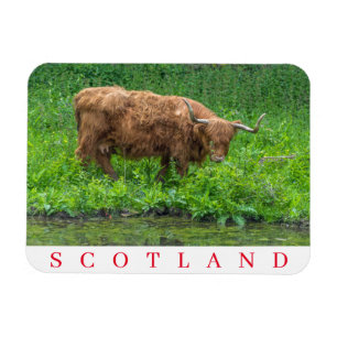 Magnet Flexible aimant frigo pour vache Scotland Highland