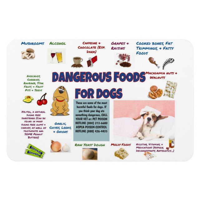 Magnet Flexible Aimant frigorifique pour chiens dangereux (Horizontal)