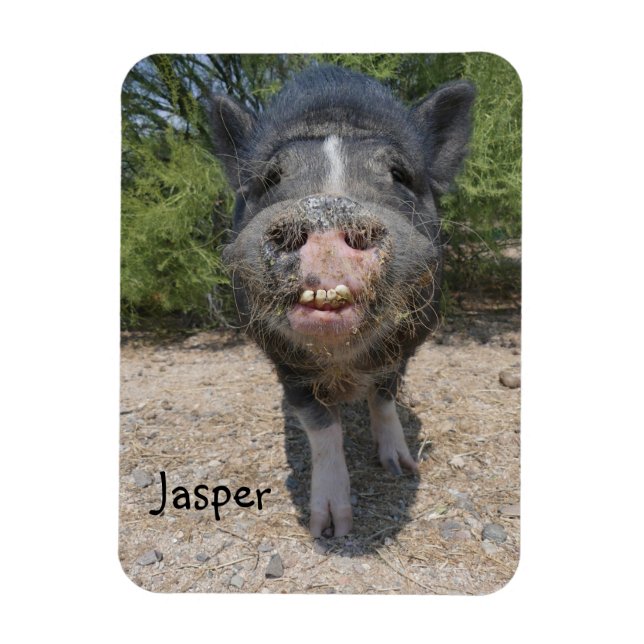 Magnet Flexible Aimant Jasper (Vertical)