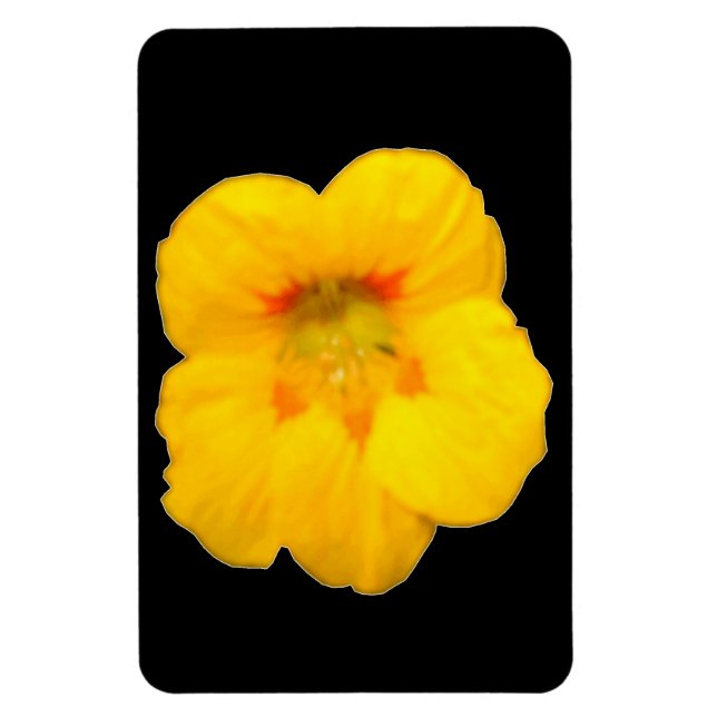 Magnet Flexible Aimant jaune brillant Nasturtium Premium (Vertical)