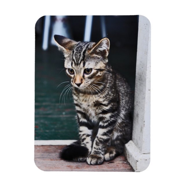 Magnet Flexible Aimant : Kitten (Vertical)
