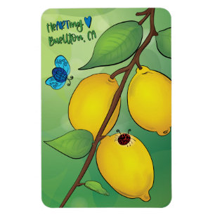 Magnet Flexible Aimant - Lemonade 2