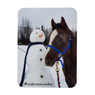 Magnet Flexible Aimant Milton Monday