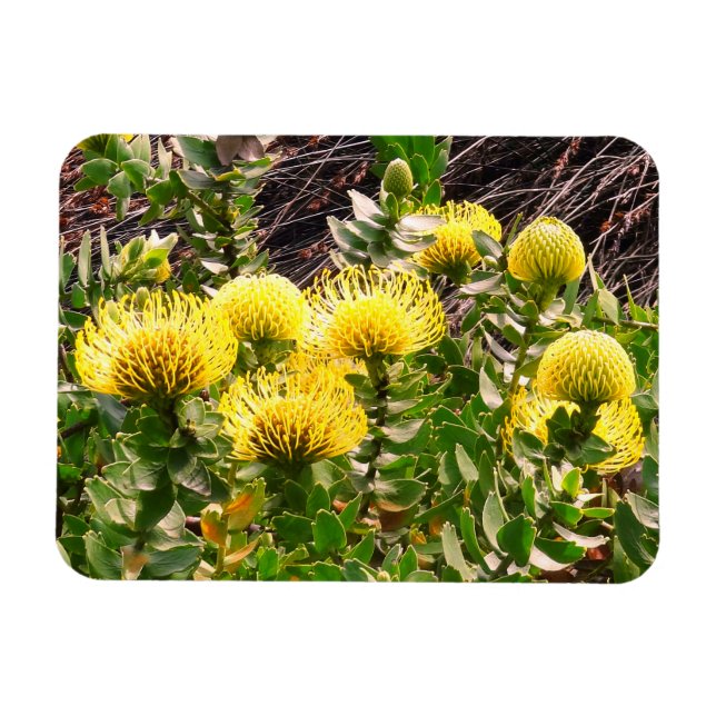 Magnet Flexible Aimant N° 1 du poinçon de l'oiseau jaune (Horizontal)