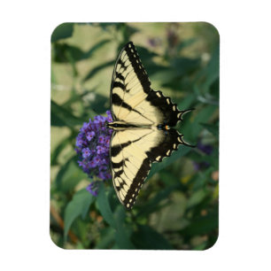 Magnet Flexible Aimant parfaitement aligné de papillon